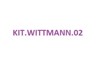 Kit wittmann 02-pl