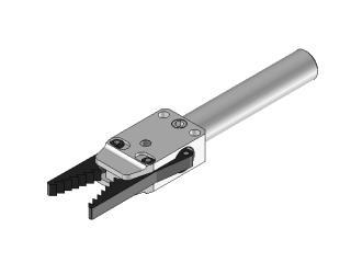 Pinza materozza 10 08 19 L.50